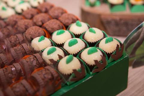 lua nova art e foto leticia amaral franco fotografia mundo dos dinossauros entrada doce docinho ovo de dinossauro chocolate'