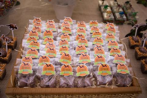 lua nova art e foto leticia amaral franco fotografia mundo dos dinossauros entrada doce docinho ovo de dinossauro chocolate'