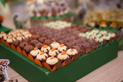 lua nova art e foto leticia amaral franco fotografia mundo dos dinossauros entrada doce docinho ovo de dinossauro chocolate'