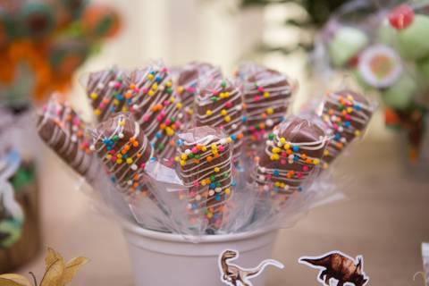 lua nova art e foto leticia amaral franco fotografia mundo dos dinossauros entrada doce docinho ovo de dinossauro chocolate pirulito de chocolate'