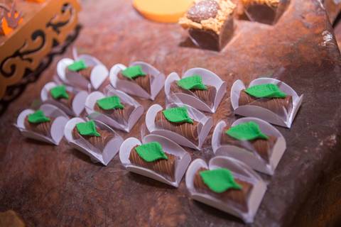 lua nova art e foto leticia amaral franco fotografia mundo dos dinossauros entrada doce docinho ovo de dinossauro chocolate'