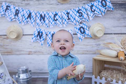 lua nova art e foto leticia amaral franco fotografia smash the cake book bebe bolo amassando fazenda fazendinha'