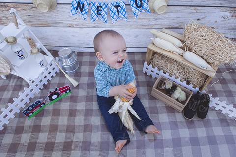 lua nova art e foto leticia amaral franco fotografia smash the cake book bebe bolo amassando fazenda fazendinha'