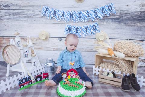 lua nova art e foto leticia amaral franco fotografia smash the cake book bebe bolo amassando fazenda fazendinha'