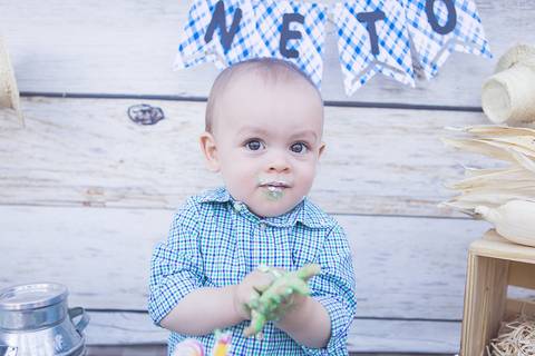 lua nova art e foto leticia amaral franco fotografia smash the cake book bebe bolo amassando fazenda fazendinha'