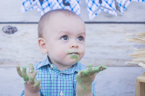 lua nova art e foto leticia amaral franco fotografia smash the cake book bebe bolo amassando fazenda fazendinha'