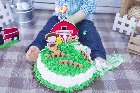 lua nova art e foto leticia amaral franco fotografia smash the cake book bebe bolo amassando fazenda fazendinha'