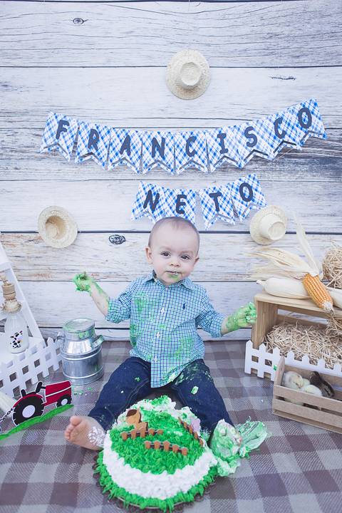 lua nova art e foto leticia amaral franco fotografia smash the cake book bebe bolo amassando fazenda fazendinha'