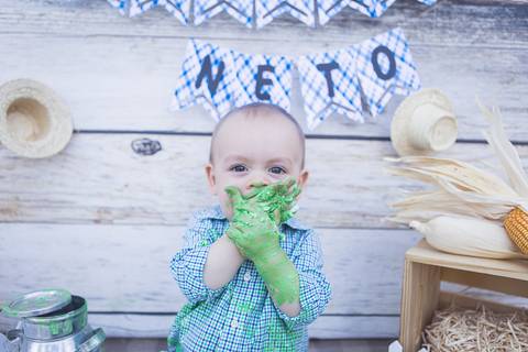 lua nova art e foto leticia amaral franco fotografia smash the cake book bebe bolo amassando fazenda fazendinha'