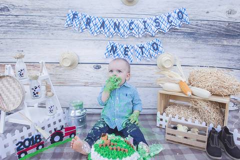 lua nova art e foto leticia amaral franco fotografia smash the cake book bebe bolo amassando fazenda fazendinha'