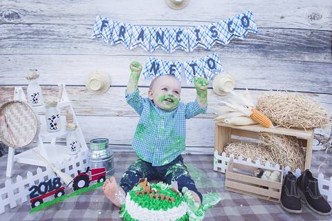 lua nova art e foto leticia amaral franco fotografia smash the cake book bebe bolo amassando fazenda fazendinha'