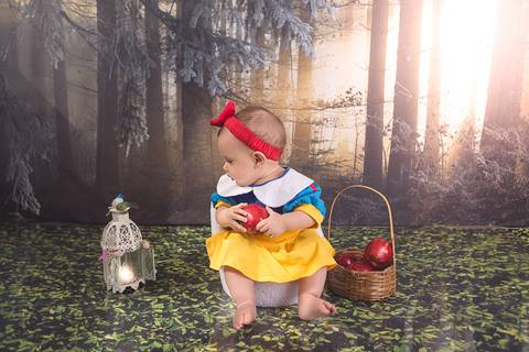 lua nova art e foto leticia amaral franco fotografia book bebe 07 meses ensaio acompanhamento branca de neve floresta maçã'