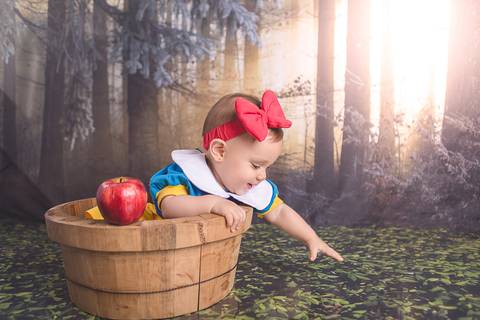 lua nova art e foto leticia amaral franco fotografia book bebe 07 meses ensaio acompanhamento branca de neve floresta maçã'