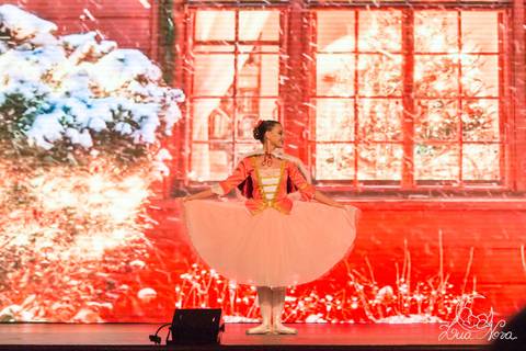 ballet regina corvello teatro oi quebra nozes'