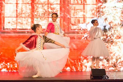 ballet regina corvello teatro oi quebra nozes'