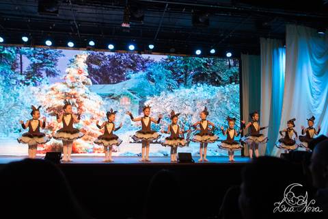 ballet regina corvello teatro oi quebra nozes renas'