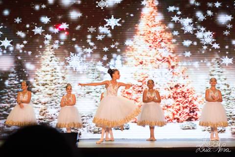 ballet regina corvello teatro oi quebra nozes'