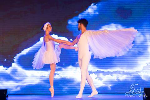 ballet regina corvello teatro oi quebra nozes'