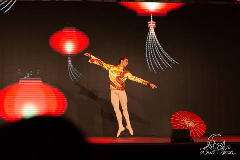 ballet regina corvello teatro oi quebra nozes'