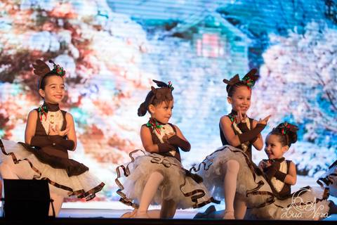 ballet regina corvello teatro oi quebra nozes'