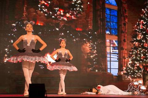 ballet regina corvello teatro oi quebra nozes'
