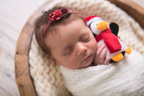 newborn isabela fotografa fotografo fotógrafa brasilia brasília df distrito federal recém nascido baby bebe bebê reborn natal flocos de neve wrap enrolado'