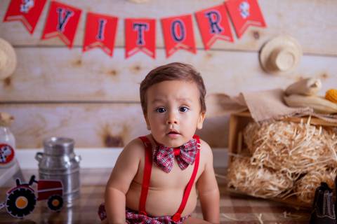 baby bebê bebe brasília brasilia df distrito federal book fotografo fotógrafa fotografa acompanhamento fotografia 7 meses trimestral balanço parque noroeste melhor leticia franco letícia lua nova art arte foto smash the cake ensaio com bolo esmagando'