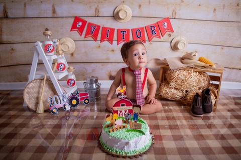baby bebê bebe brasília brasilia df distrito federal book fotografo fotógrafa fotografa acompanhamento fotografia 7 meses trimestral balanço parque noroeste melhor leticia franco letícia lua nova art arte foto smash the cake ensaio com bolo esmagando'
