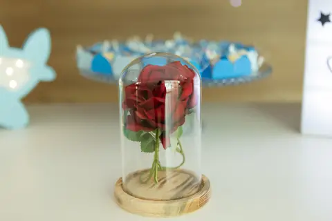 fotografo fotógrafo fotógrafa fotografa brasília brasilia evento festa infantil festa de criança em casa decoração mais bonita pequeno principe bolo mesa  vela decoração decoracao rosa'