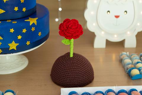 fotografo fotógrafo fotógrafa fotografa brasília brasilia evento festa infantil festa de criança em casa decoração mais bonita pequeno principe bolo mesa  vela decoração decoracao rosa'