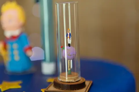 fotografo fotógrafo fotógrafa fotografa brasília brasilia evento festa infantil festa de criança em casa decoração mais bonita pequeno principe bolo mesa  vela decoração decoracao palito'