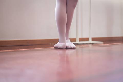 fotografa fotografo fotógrafa brasilia brasília df distrito federal dance dança regina corvello ballet balé clássico nathalia corvello luisa imperatriz analua amaral'