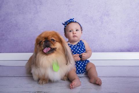 baby bebê bebe família familia brasília brasilia df distrito federal book fotografo fotógrafa fotografa acompanhamento fotografia 9 meses trimestral octogonal melhor leticia franco letícia lua nova art arte foto lilás pets cachorros'