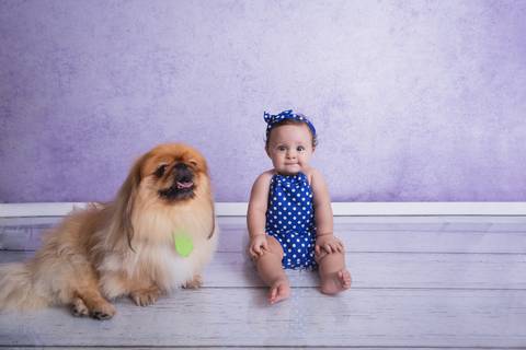 baby bebê bebe família familia brasília brasilia df distrito federal book fotografo fotógrafa fotografa acompanhamento fotografia 9 meses trimestral octogonal melhor leticia franco letícia lua nova art arte foto lilás pets cachorros'