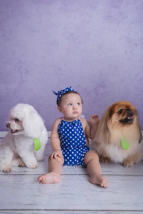 baby bebê bebe família familia brasília brasilia df distrito federal book fotografo fotógrafa fotografa acompanhamento fotografia 9 meses trimestral octogonal melhor leticia franco letícia lua nova art arte foto lilás pets cachorros'