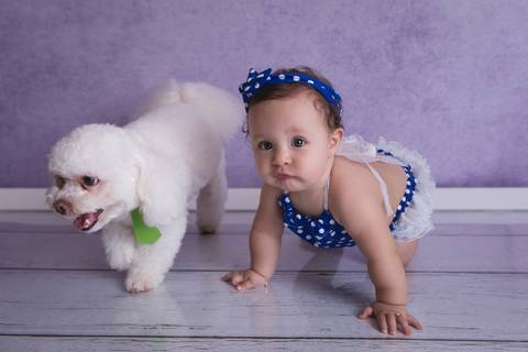 baby bebê bebe família familia brasília brasilia df distrito federal book fotografo fotógrafa fotografa acompanhamento fotografia 9 meses trimestral octogonal melhor leticia franco letícia lua nova art arte foto lilás pets cachorros'