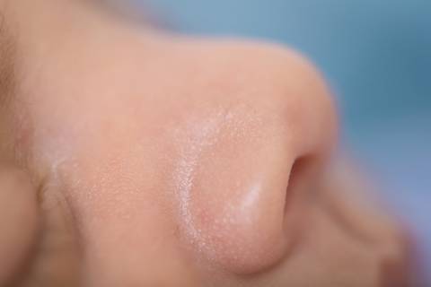 bebê recém nascido e calça macacão listrado e fundo azul marinho newborn brasilia fotografa fotografo fotógrafa brasília df distrito federal baby bebe reborn wrap enrolado lago sul altiplano leste saco de batata pacotinho detalhes boca nariz'