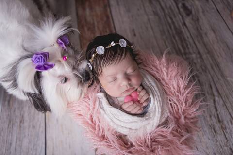 bebê recém nascido newborn brasilia fotografa fotografo fotógrafa brasília df distrito federal baby bebe reborn wrap enrolado touca rosa irmã de 4 patas quatro cachorra cão cadela'