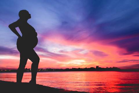 ensaio gestante mamãe lugar dos sonhos jardim botanico bebê recém nascido newborn brasilia fotografa fotografo otógrafa brasília df distrito federal baby bebe reborn df distrito federal book melhor leticia franco letícia lua nova art arte foto irmão'