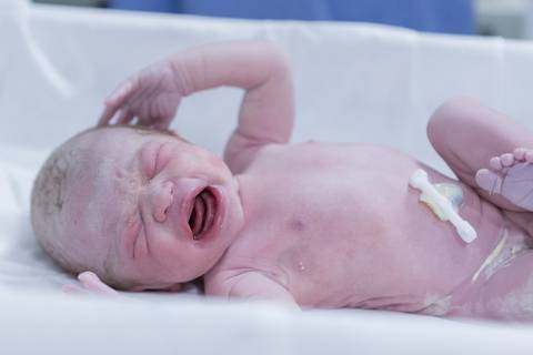 bebê cheio de vernix caseoso após o nascimento parto chorando maternidade brasilia normal e humanizado'