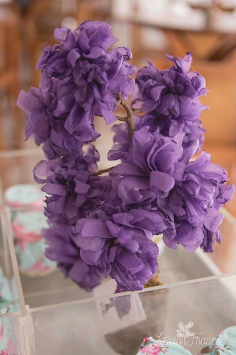  jardim da elena ipes realizado pela fotografa especializada Letícia Franco em Brasília DF festa aniversário de 1 ano primeiro ipe roxo'