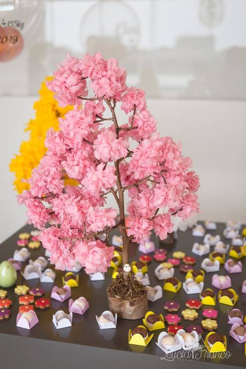  jardim da elena ipes realizado pela fotografa especializada Letícia Franco em Brasília DF festa aniversário de 1 ano primeiro'