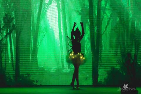 Regina corvello bailarinas fotografadas pela fotografa Letícia Franco no Lago SUl em Brasília DF teatro oi espetaculo Sylvia ninfas'