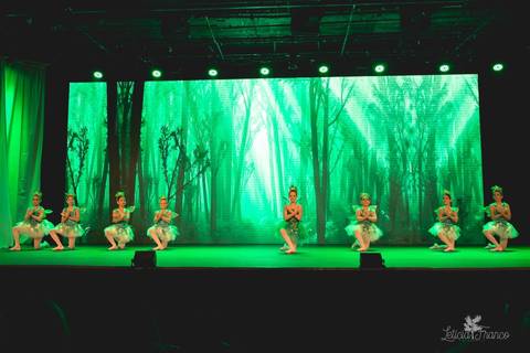 Regina corvello bailarinas fotografadas pela fotografa Letícia Franco no Lago SUl em Brasília DF teatro oi espetaculo Sylvia ninfas'