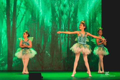 Regina corvello bailarinas fotografadas pela fotografa Letícia Franco no Lago SUl em Brasília DF teatro oi espetaculo Sylvia'