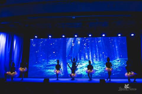 Regina corvello bailarinas fotografadas pela fotografa Letícia Franco no Lago SUl em Brasília DF teatro oi espetaculo Sylvia ninfas da floresta'