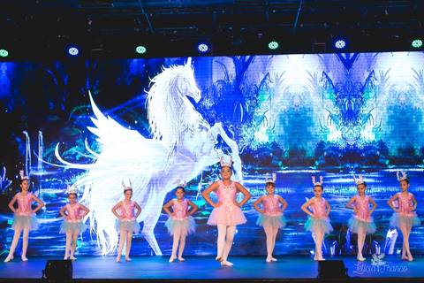Regina corvello bailarinas fotografadas pela fotografa Letícia Franco no Lago SUl em Brasília DF teatro oi espetaculo Sylvia pegasus'