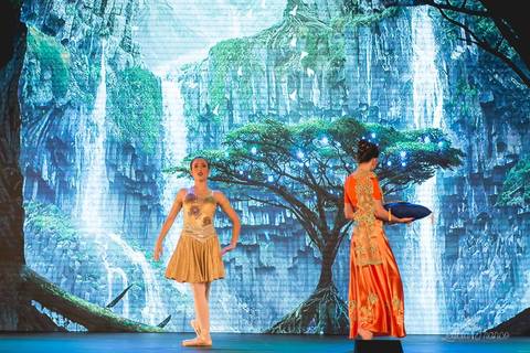 Regina corvello bailarinas fotografadas pela fotografa Letícia Franco no Lago SUl em Brasília DF teatro oi espetaculo Sylvia'