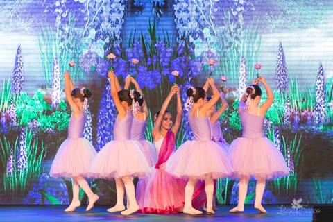 Regina corvello bailarinas fotografadas pela fotografa Letícia Franco no Lago SUl em Brasília DF teatro oi espetaculo Sylvia'