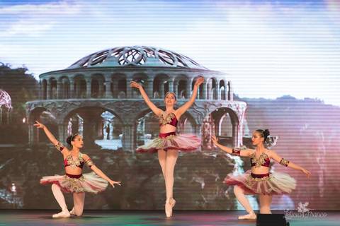 Regina corvello bailarinas fotografadas pela fotografa Letícia Franco no Lago SUl em Brasília DF teatro oi espetaculo Sylvia'